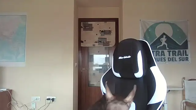 llopaco online show from April 12, 9:01 am