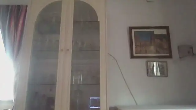 Snapshot of llopaco chatting on December 21, 11:45 am llopaco online show from December 21, 11:45 am