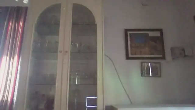 llopaco online show from November 28, 2:17 pm