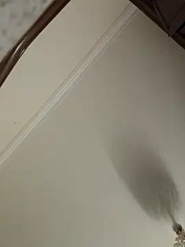 Loly2025 online show from April 19, 1:17 am