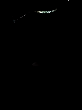 Loly2025 online show from March 21, 12:09 pm