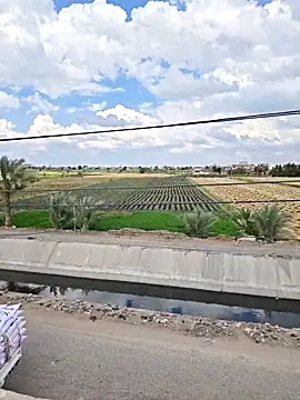 Loly2025 online show from April 7, 1:24 pm