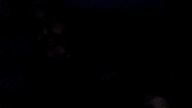Snapshot of Novabear6996 chatting on February 28, 10:30 am Novabear6996 online show from February 28, 10:30 am