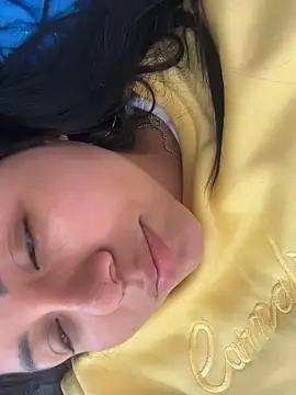 Karla Stein2025 online show from November 21, 5:12 pm