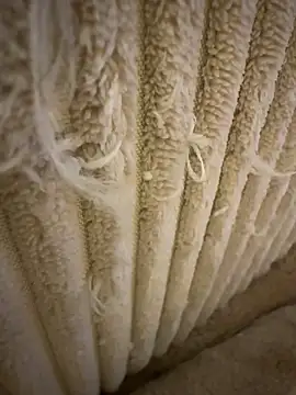 Snapshot of tiago499 chatting on February 7, 5:10 pm tiago499 online show from February 7, 5:10 pm