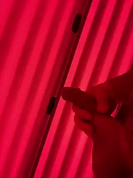 plaintreebull online show from January 10, 7:42 pm