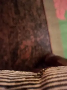 cocktony online show from November 7, 10:31 am