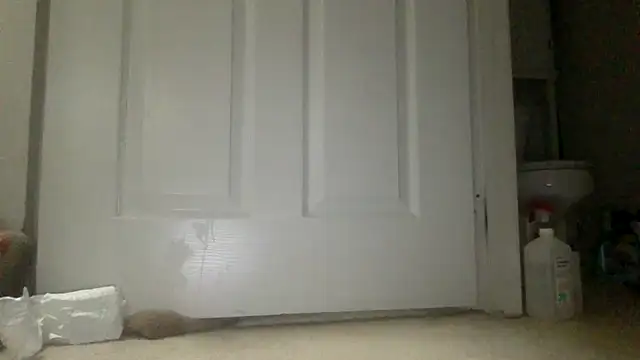 icedcoffeex online show from April 16, 9:39 pm