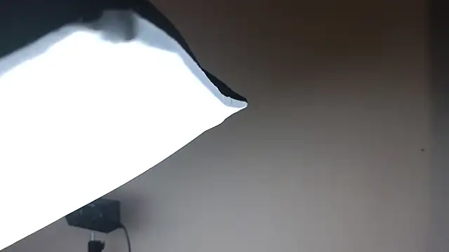 Snapshot of Sandra_Snowflake chatting on November 24, 3:50 am Sandra Snowflake online show from November 24, 3:50 am