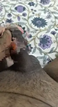 Snapshot of desi_pb02 chatting on November 6, 4:16 am desi pb02 online show from November 6, 4:16 am