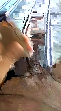 Snapshot of desi_pb02 chatting on November 11, 4:29 am desi pb02 online show from November 11, 4:29 am