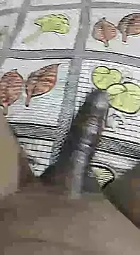 Snapshot of desi_pb02 chatting on September 14, 9:09 am desi pb02 online show from September 14, 9:09 am