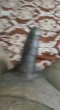 Snapshot of desi_pb02 chatting on September 9, 3:21 pm desi pb02 online show from September 9, 3:21 pm