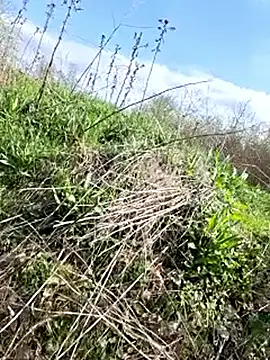 VickyDevilEU online show from April 15, 1:48 pm