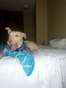 KingSlim56 online show from December 18, 2:05 am