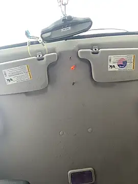 Snapshot of QueenM3 chatting on November 15, 5:17 pm QueenM3 online show from November 15, 5:17 pm