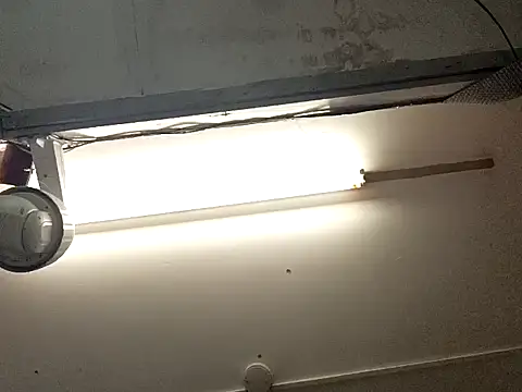 Mrnutella online show from September 19, 8:57 pm