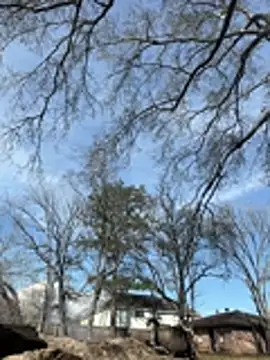 HTXBELLE online show from February 9, 8:18 pm