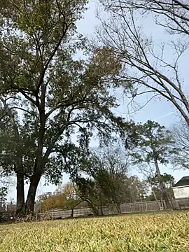 HTXBELLE online show from December 16, 5:06 pm