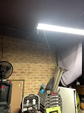 HTXBELLE online show from February 13, 10:15 am