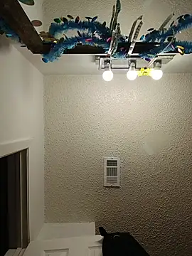 HTXBELLE online show from February 23, 10:10 pm