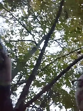 HTXBELLE online show from November 29, 11:05 pm