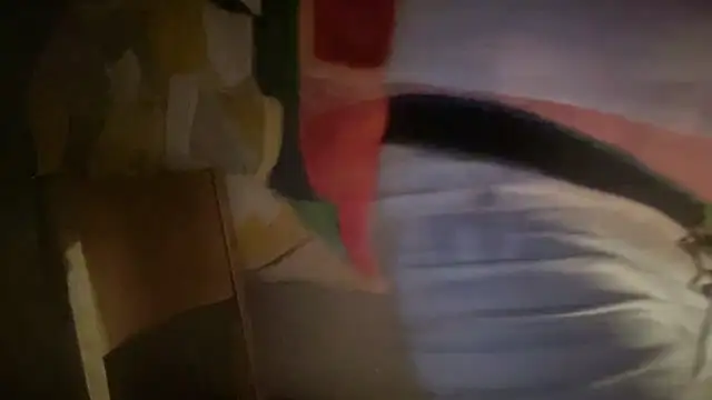 DominantDong online show from February 7, 8:11 am