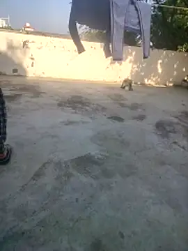 indian couple4 online show from December 16, 9:02 am