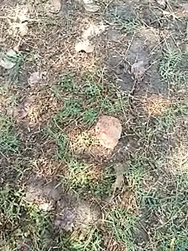 bairobunde online show from April 5, 8:10 am