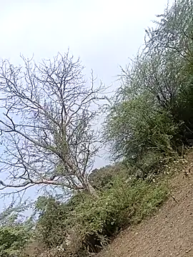 bairobunde online show from February 2, 9:52 am