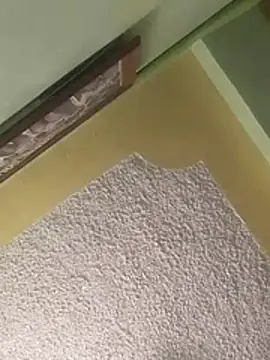 calme odl1 online show from March 24, 10:26 am