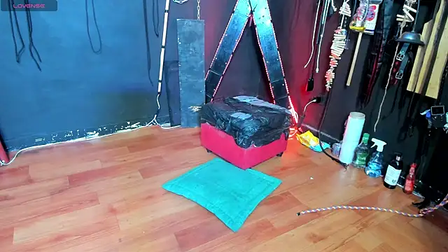 Snapshot of BDSM_SUBMISSION3 chatting on November 6, 2:48 am BDSM SUBMISSION3 online show from November 6, 2:48 am