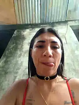 hot veteran01 online show from January 7, 11:37 am