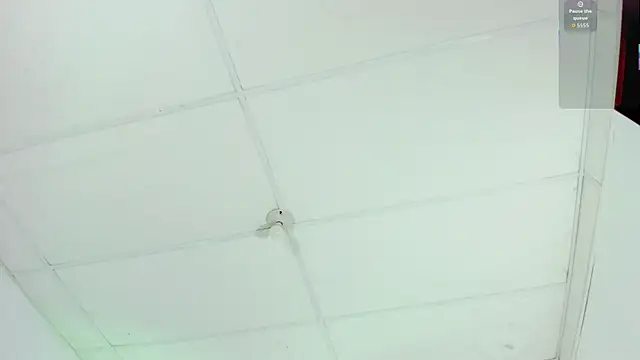 cutie sarax1 online show from November 10, 12:10 pm