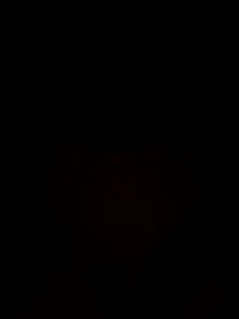 Snapshot of laraaaaaa chatting on October 29, 12:20 am laraaaaaa online show from October 29, 12:20 am