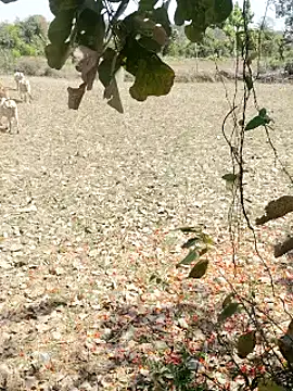 Snapshot of cute1gfbf chatting on March 5, 7:05 am cute1gfbf online show from March 5, 7:05 am