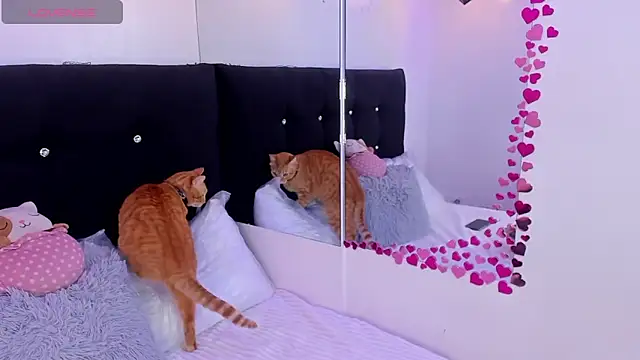 Anniie  Evans online show from March 16, 5:05 pm