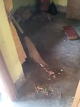 devarbhabhisexpower online show from April 10, 2:29 am