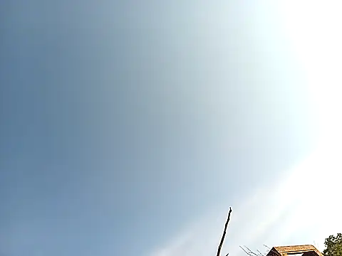 lilpip online show from November 27, 4:02 am