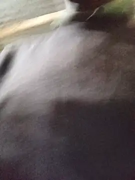 lilpip online show from July 15, 2:51 am