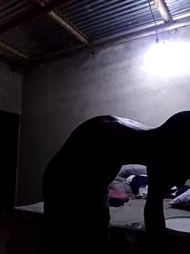 lilpip online show from February 12, 7:13 pm