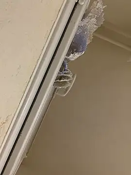 Snapshot of daniel21p chatting on March 10, 6:34 pm daniel21p online show from March 10, 6:34 pm