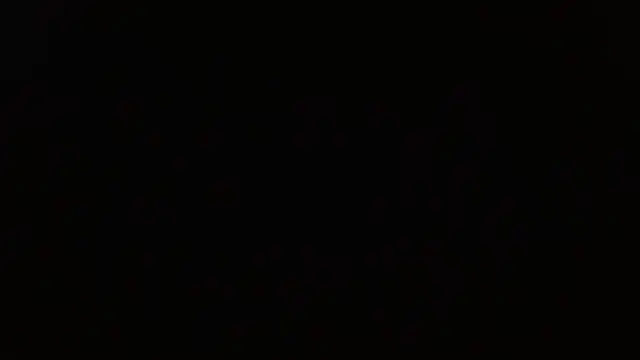 Pandora 9666 online show from April 19, 6:10 pm