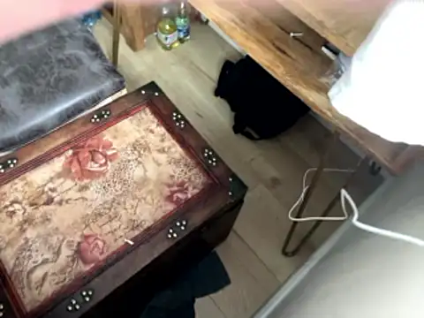 femboybandi online show from January 12, 2:24 pm