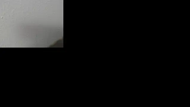 ava-am online show from November 10, 3:44 am