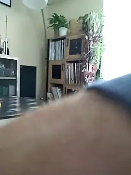 Davestco31 online show from November 30, 2:51 pm