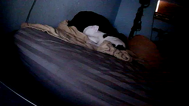 Snapshot of PornStro921 chatting on February 11, 8:20 pm PornStro921 online show from February 11, 8:20 pm