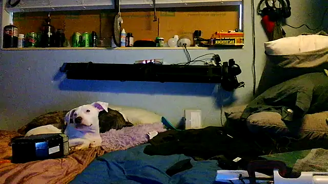 PornStro921 online show from March 17, 8:45 pm