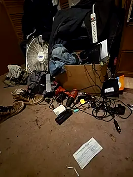 SillyRabbitz online show from November 26, 7:30 am