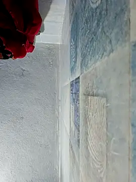 wildfun  online show from October 22, 5:40 am